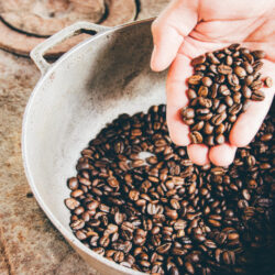 コーヒーの蒸らしの意味とは？蒸らしの最適時間と３つのコツ