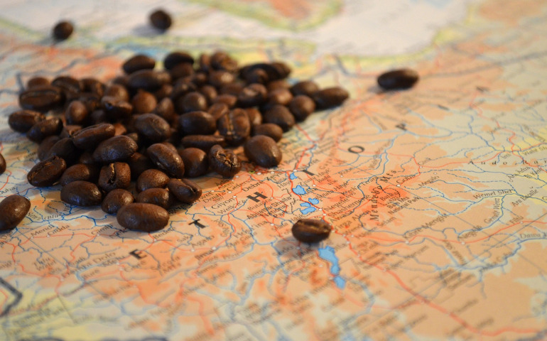 コーヒーの生産地はどこ？国ごとのコーヒーの特徴を解説