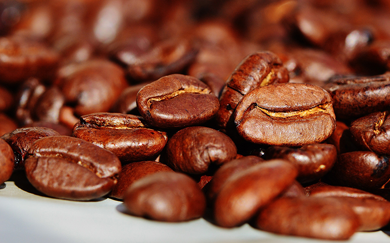 コーヒーの酸味を抑えて淹れられない原因は豆にある
