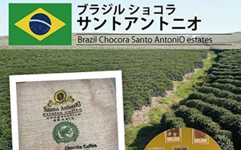 ブラジルショコラサンアントニオの農園風景